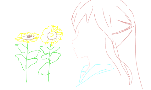 向日葵